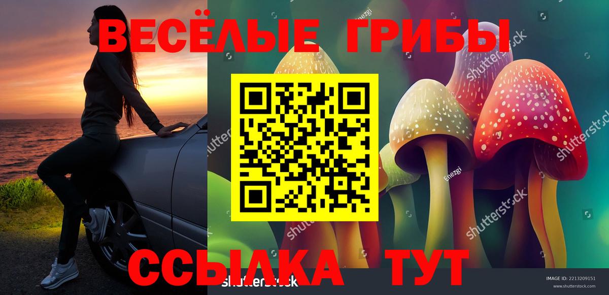 Псилоцибиновые грибы Psilocybine cubensis Сызрань